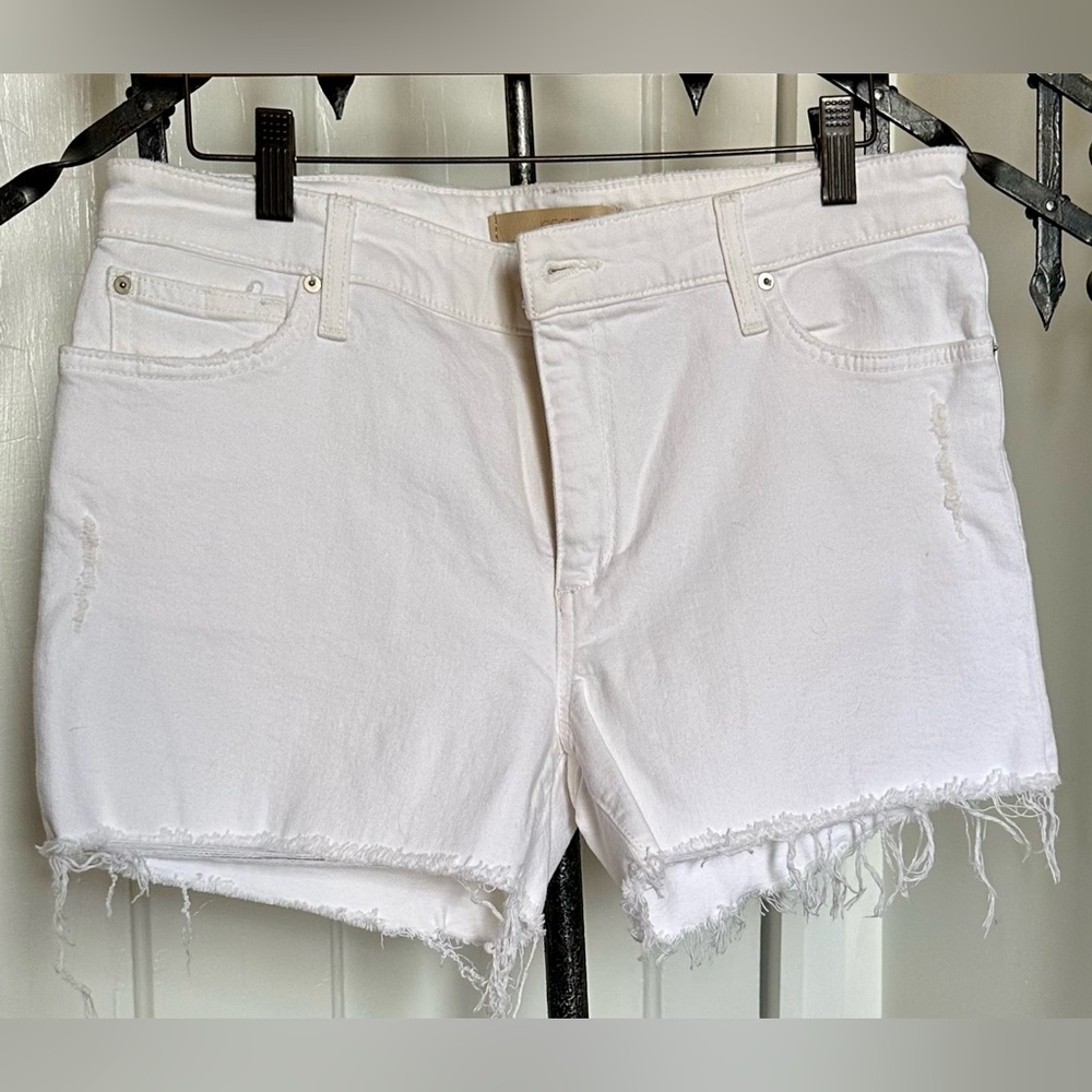 Joe’s Jeans The Lover mid rise baggy shorts